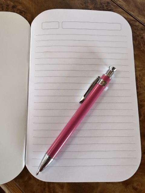 Taccuino con penna rosa per annotare valori, interessi e competenze: elementi del bilancio di competenze